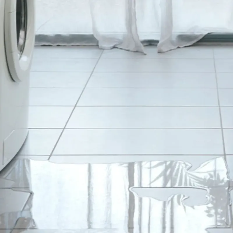 Appliance Leak Cleanup in San Juan Capistrano, CA