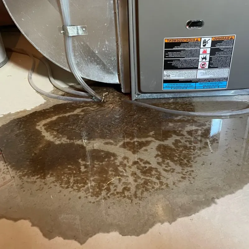 Pipe Burst and Leak Restoration in San Juan Capistrano, CA